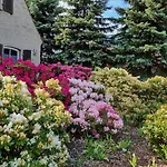 Apartment Schorfheide Krueger *