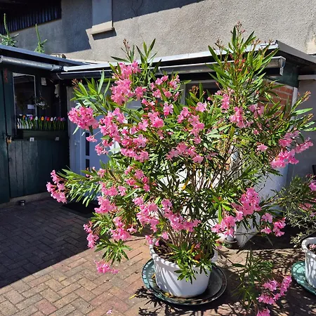 Apartment Schorfheide Krüger *