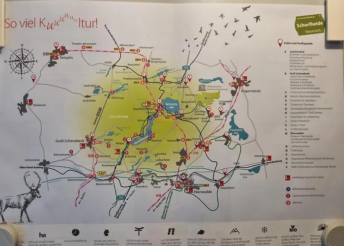 Schorfheide Krueger *