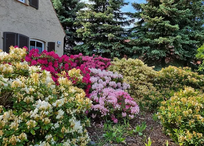 Appartement Schorfheide Krueger *