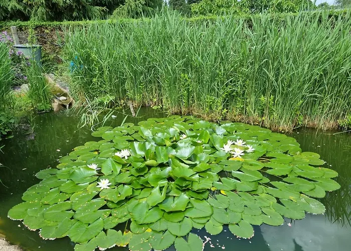 Appartement Schorfheide Krueger *