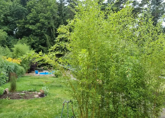 Appartement Schorfheide Krueger *